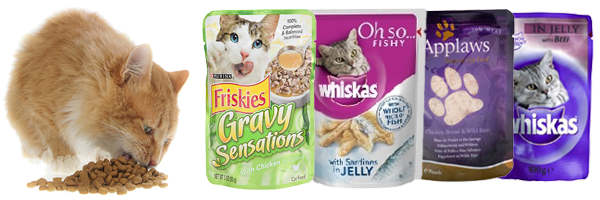 Cat Food Pouches